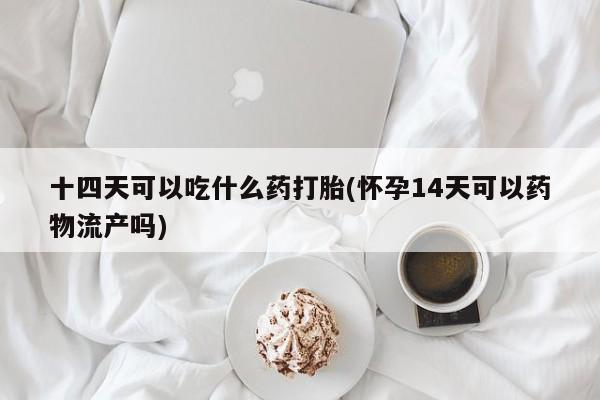 米非司酮哪个网上药店十四天可以吃什么药打胎(怀孕14天可以药物流产吗)